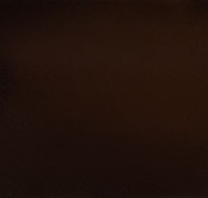 Bronze Burst