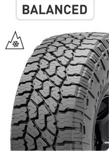 Old Man Emu 2-3 inch Tacoma (16-23) Suspension Lift Kit